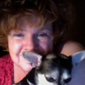 Meet your Posher, Susan